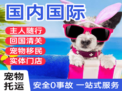 河东航空货运国际宠物托运 【国
